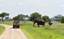 Este es el Safari turístico que pretenden abrir en Tamaulipas