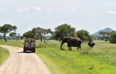 Este es el Safari turístico que pretenden abrir en Tamaulipas