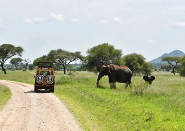 Este es el Safari turístico que pretenden abrir en Tamaulipas