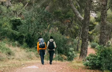 En este lugar del Edomex puedes hacer senderismo entre tres presas y bellos paisajes boscosos