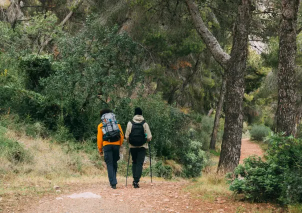 En este lugar del Edomex puedes hacer senderismo entre tres presas y bellos paisajes boscosos