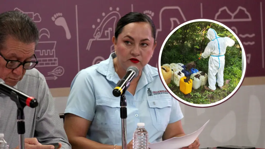 Aseguran cinco zonas de concentración de sustancias químicas en Sinaloa