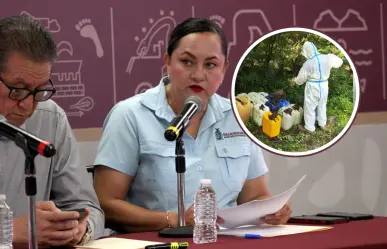 Aseguran cinco zonas de concentración de sustancias químicas en Sinaloa