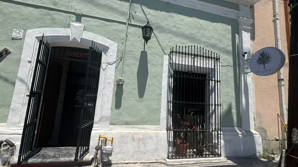 Mala Hierba: arte y café en el corazón de Monterrey