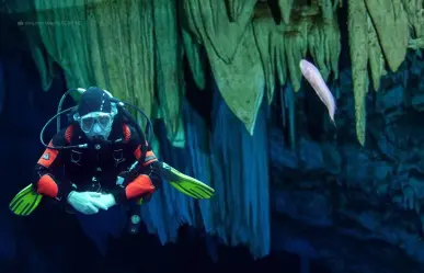 Dama blanca: el pez fantasmal de Yucatán que merodea en los cenotes
