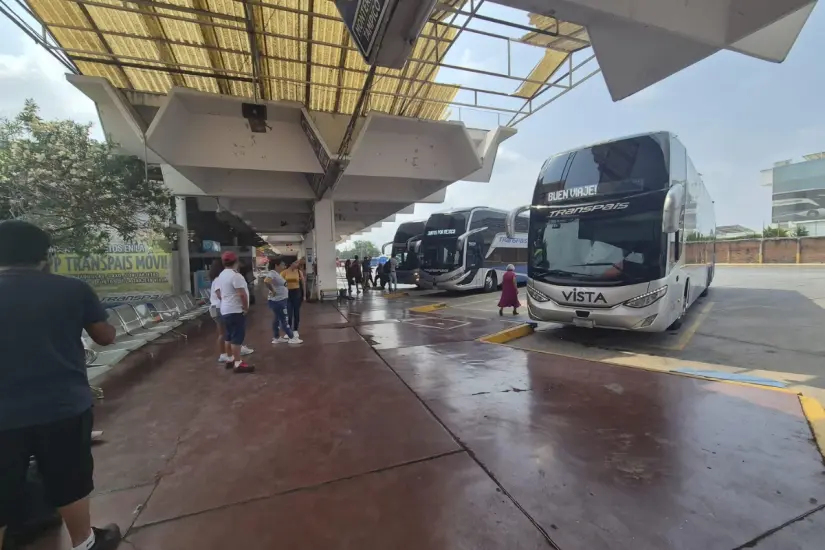 Andenes de la Central de Autobuses de Victoria. Foto: Carlos García