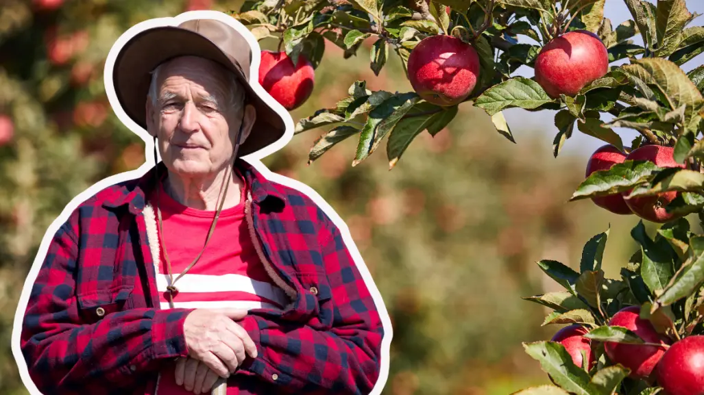Abandonan productores campo de Arteaga y esta es la razón