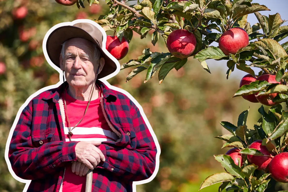 El Ayuntamiento trabaja en estrategias de diversificación económica. Una de ellas es la transformación de productos agrícolas, como la producción de sidra a partir de la manzana./Foto: Canva