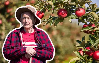 Abandonan productores campo de Arteaga y esta es la razón