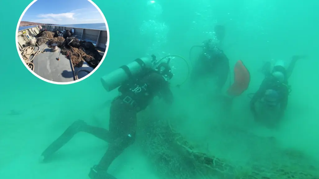 Extraen red de pesca fantasma en las inmediaciones del Parque Nacional Espíritu Santo