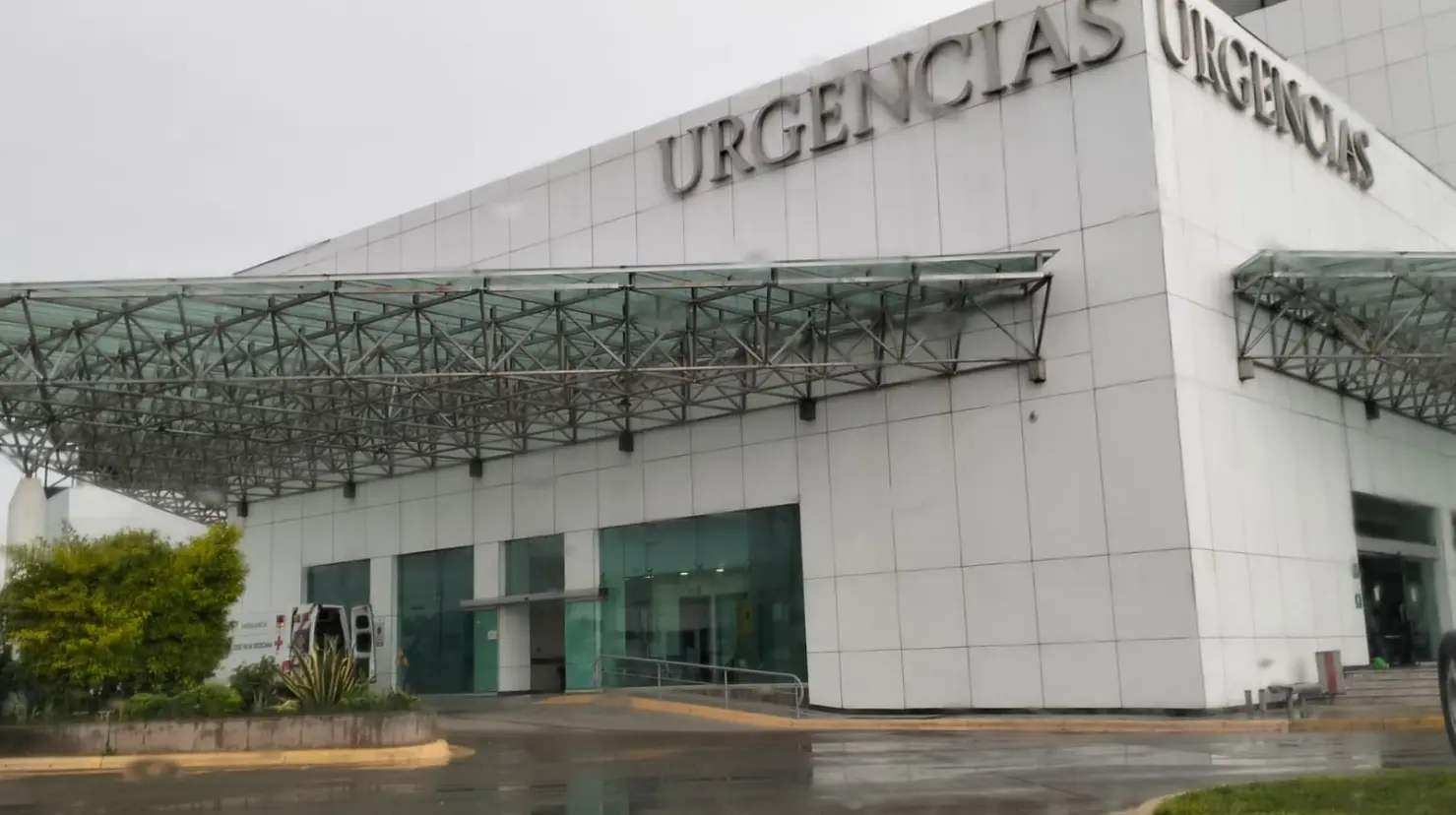 En el vecino estado de Zacatecas se detectó un caso de rabia y en Durango se refuerza la vigilancia epidemiológica. Foto: Citlalli Zoé Sánchez.