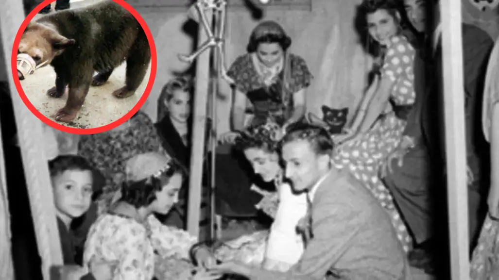 El paso de los húngaros en Tamaulipas: los gitanos en la vida real