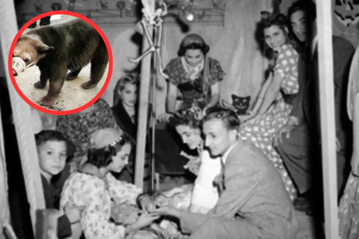 Descubre la historia de los misteriosos húngaros en Tampico y su impacto en la región. Leyendas y presencia en Tamaulipas.