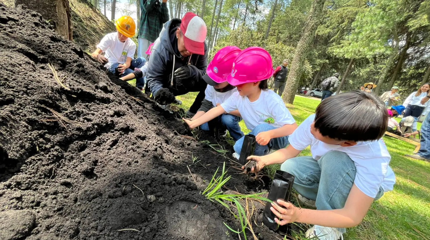 Probosque impulsa visitas a viveros y actividades prácticas para que niñas y niños aprendan sobre el cuidado de los bosques. Imagen: Alberto Dzib