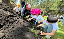 Bosque Escuela en Edomex: un aula al aire libre para conectar a la niñez con la naturaleza Bosque Escuela en Edomex: un aula al aire libre para conectar a la niñez con la naturaleza