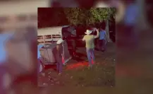 Denuncian maltrato animal en Bacalar: sujeto castiga a un caballo con una vara de madera