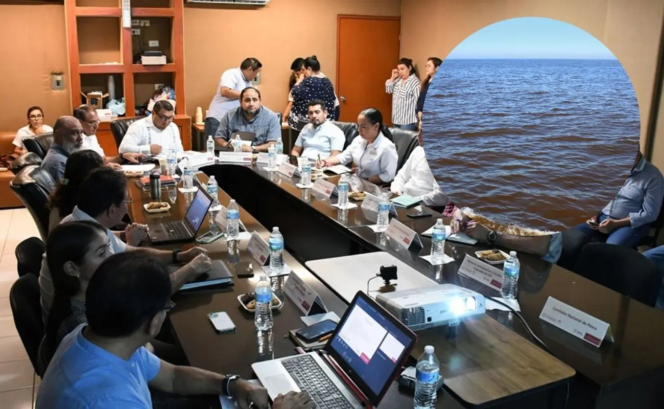 ¿Cuál es el nuevo perímetro restrictivo para la pesca? Foto: Canva | Cortesía