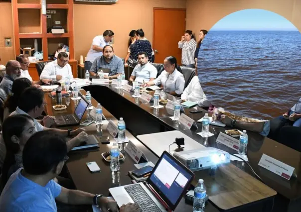 Marea roja en Yucatán: ¿qué acciones se están tomando para proteger a la población?