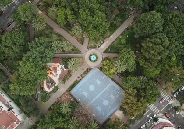 Este parque tranquilo en la Colonia del Valle es ideal para pasear a tu perro sin molestias