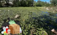 ¡Va de nuevo! Invitan a tercera jornada de limpieza del Río Tunal en Durango 