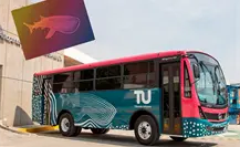 Tiburón Urbano cumple su primer año en La Paz: este es el número de tarjetas vendidas