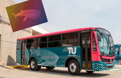 Tiburón Urbano cumple su primer año en La Paz: este es el número de tarjetas vendidas