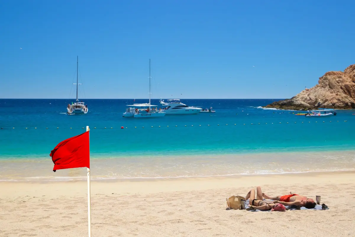Foto: Expedia | Canva.