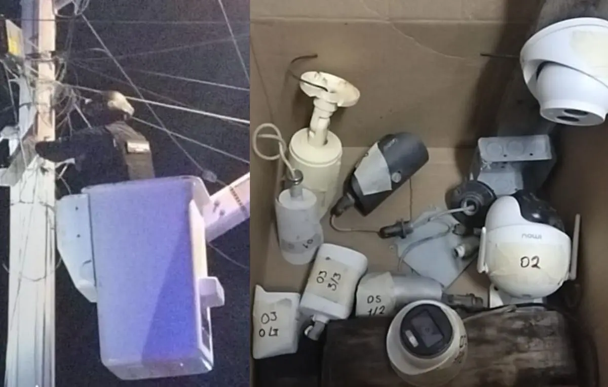 Foto: Secretaría de Seguridad Pública BCS