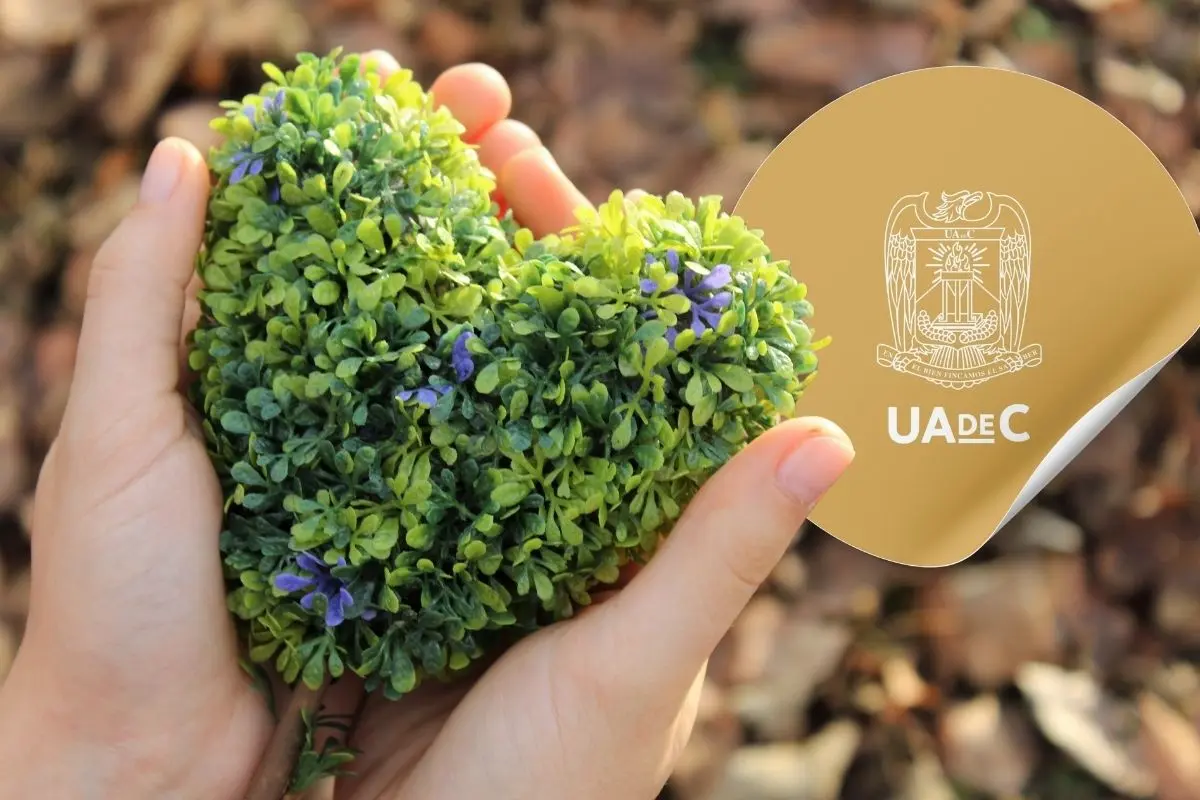 Invitan a sumarse a congreso del Medio Ambiente coordinado por la UAdeC / Foto: UAdeC | Canva