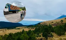 Deforestación en el Parque Nacional Izta-Popo: causas e impacto ecológico en el Edomex