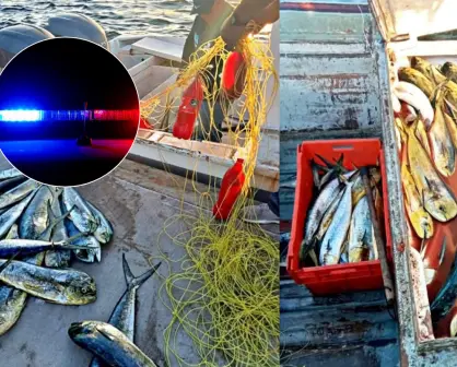 Pesca ilegal en BCS: autoridades incautan 400 kg de dorado y embarcación en operativo