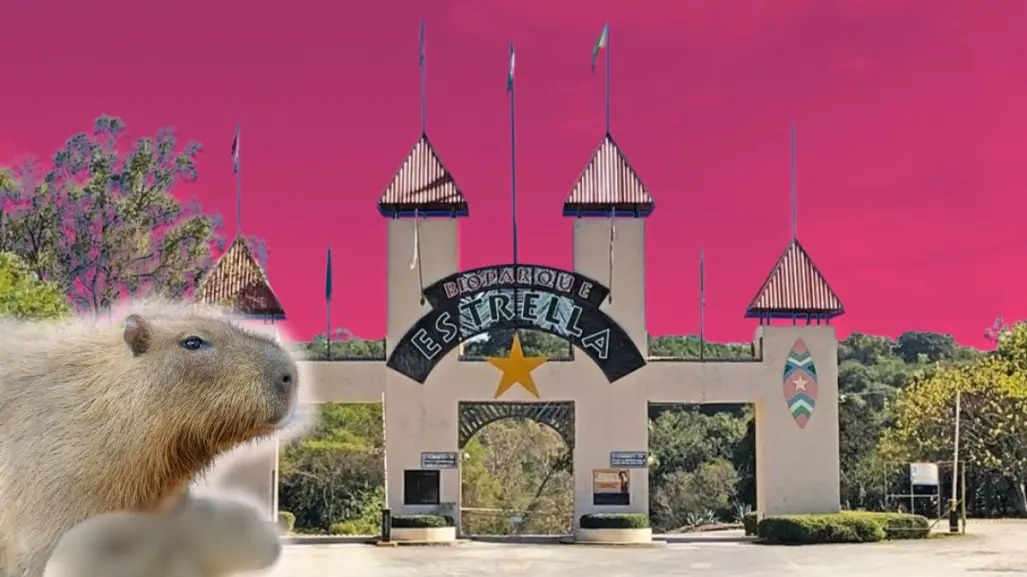¡Un bebé capibara en Monterrey! Bioparque Estrella presenta un nuevo integrante en la familia