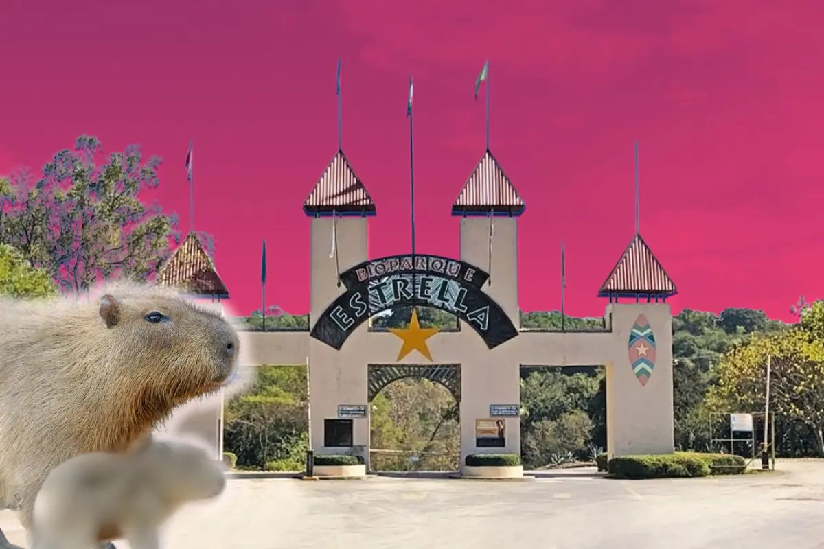 Capirabara Foto: Canva