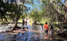 Este bosque en Edomex rodeado de cascadas y ahuehuetes es ideal para relajarte en fin de semana
