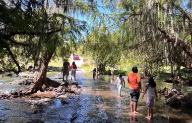 Este bosque en Edomex rodeado de cascadas y ahuehuetes es ideal para relajarte en fin de semana