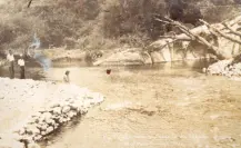 Estos manantiales surten de agua pura a gran parte de Ciudad Victoria