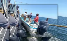 Retienen embarcación en Dzilam de Bravo durante operativo contra pesca ilegal