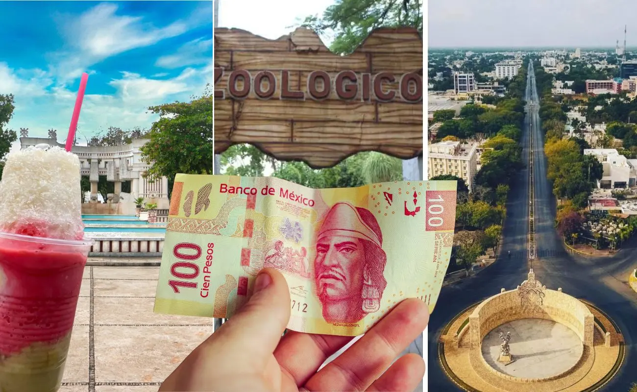 ¿Qué hacer en el Zoológico del Centenario con poco dinero? Foto: Canva