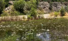 Crisis de contaminación en el Río Tunal crece gracias al vandalismo en Durango