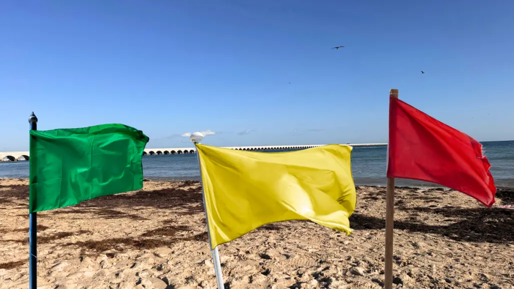 Marea roja en Yucatán: ¿Qué significa cada color de las banderas en las playas?