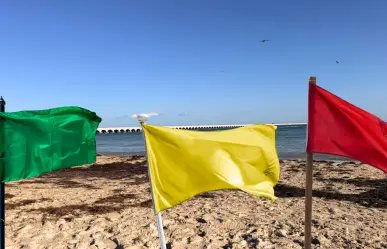 Marea roja en Yucatán: ¿Qué significa cada color de las banderas en las playas?