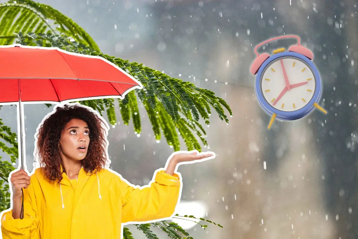 Lluvias iniciarán este sábado por la tarde en Nuevo León. Foto: CANVA