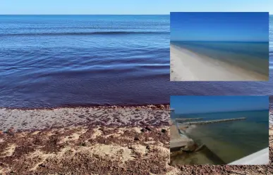 Marea roja en Yucatán: disminuye el manchón en estas playas yucatecas
