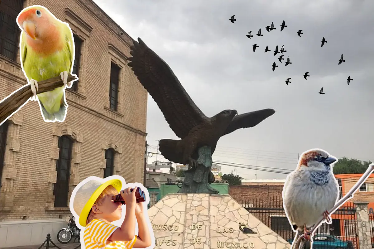 El punto de encuentro será a las 7:15 de la mañana para organizar la salida hacia la presa Palo Blanco./Foto: Canva/ Tripadvisor