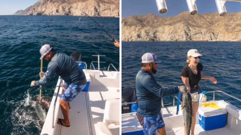 Pesca en Baja California Sur: estas son las mejores especies para pescar en Loreto