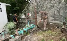 A esto asciende la cartera vencida de Comapa Victoria
