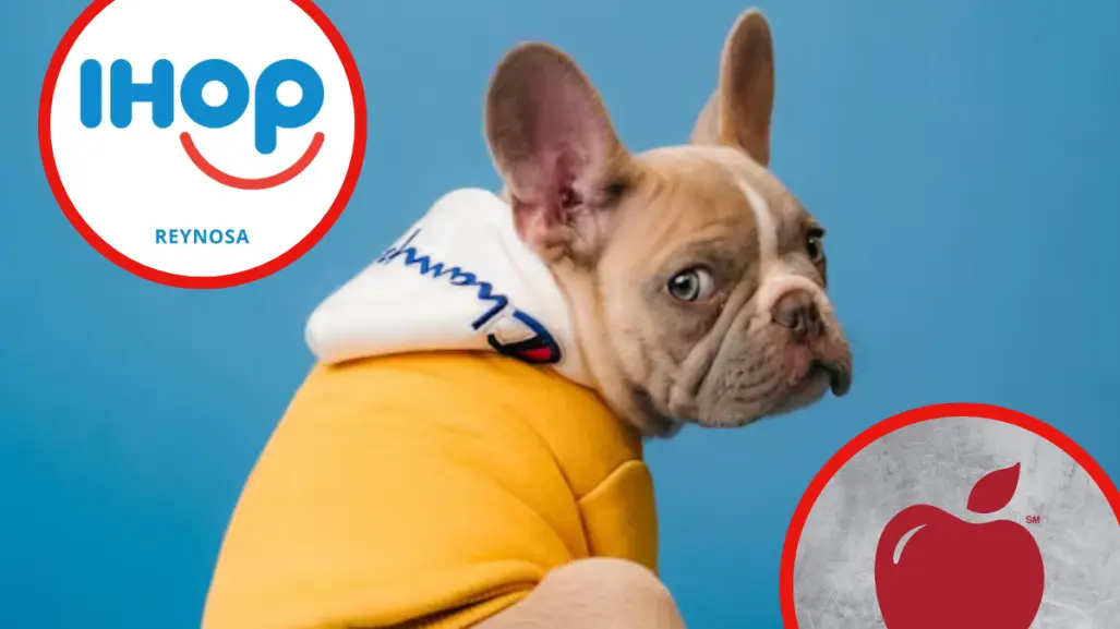 Applebees e IHOP lanzan croquetón en Tamaulipas: Así puedes sumarte
