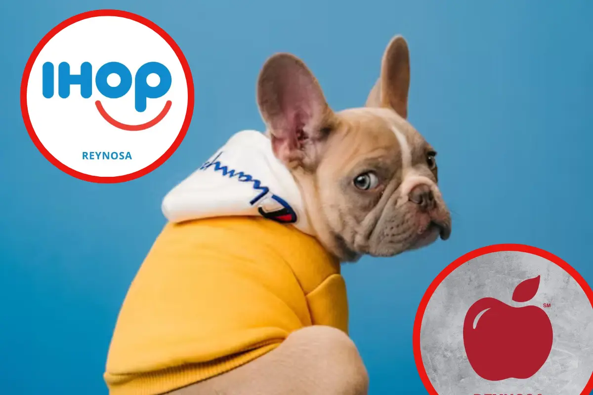 Colabora con la campaña de donación de croquetas de IHOP y Applebees en Tamaulipas para apoyar a las mascotas necesitadas