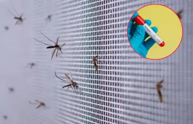 Dengue en Coahuila se mantiene bajo control, ¿cuántos casos suman en el estado?