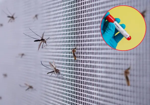 Dengue en Coahuila se mantiene bajo control, ¿cuántos casos suman en el estado?